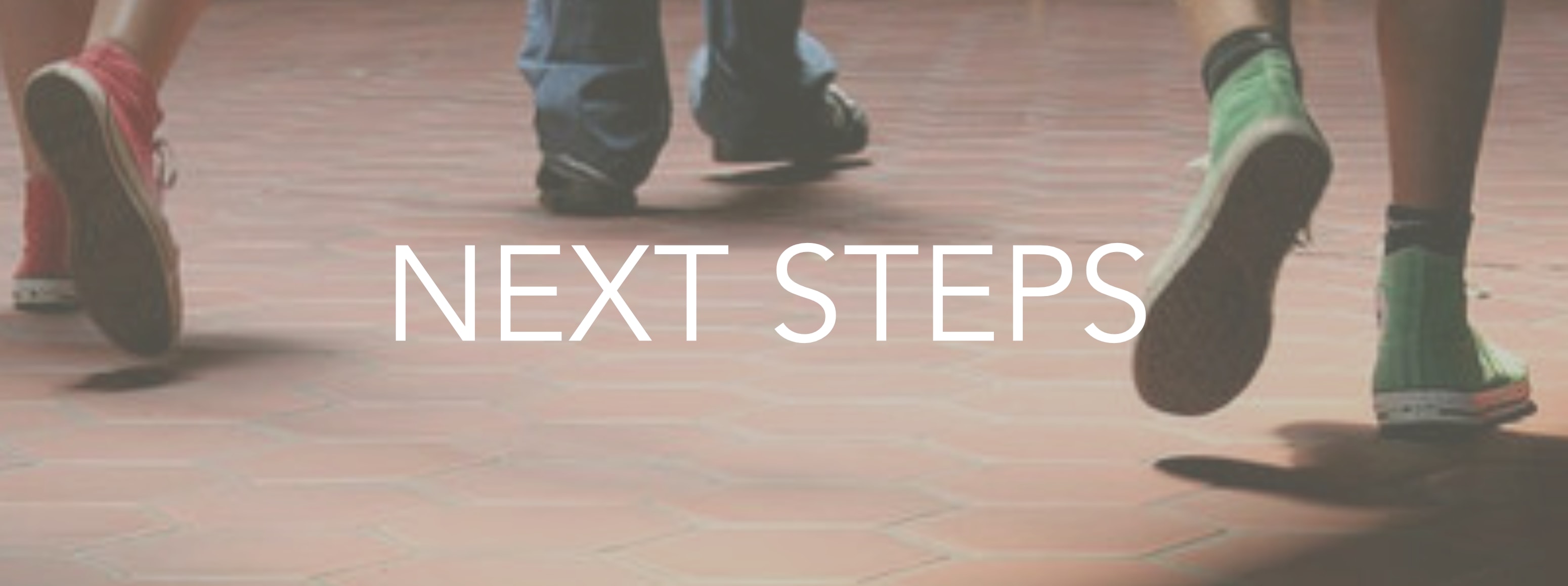 3100x1160 next stepsb