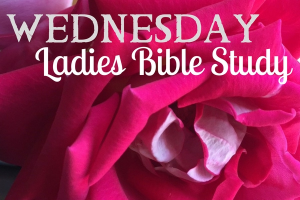 ladies bible study fairfax