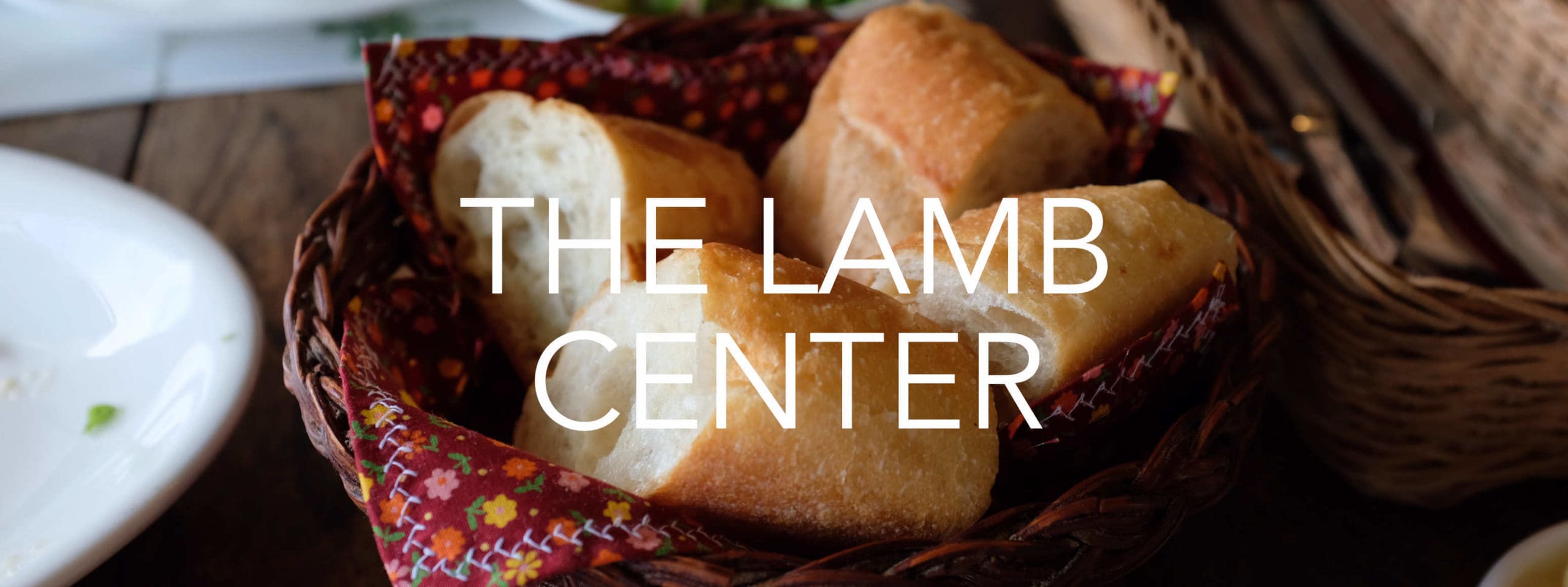 3100x1160 THE LAMB CENTER2