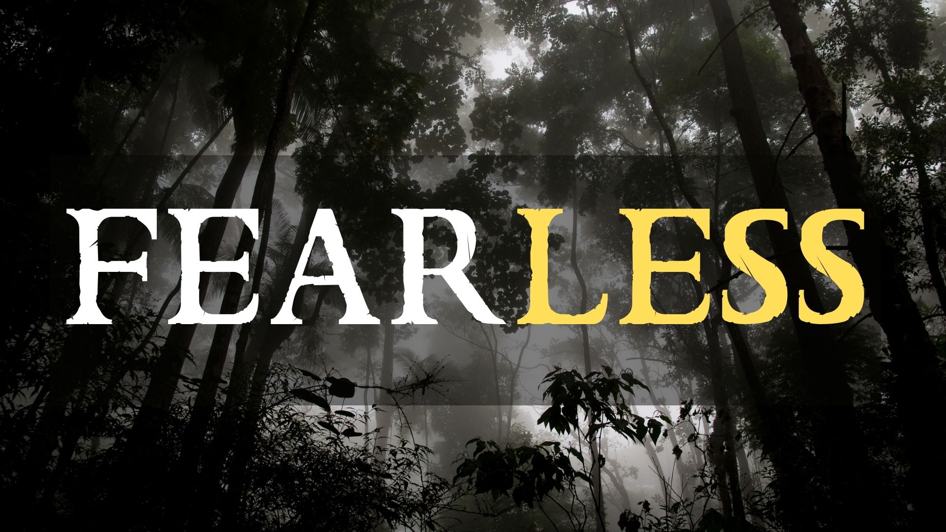 Fearless (Part 3)