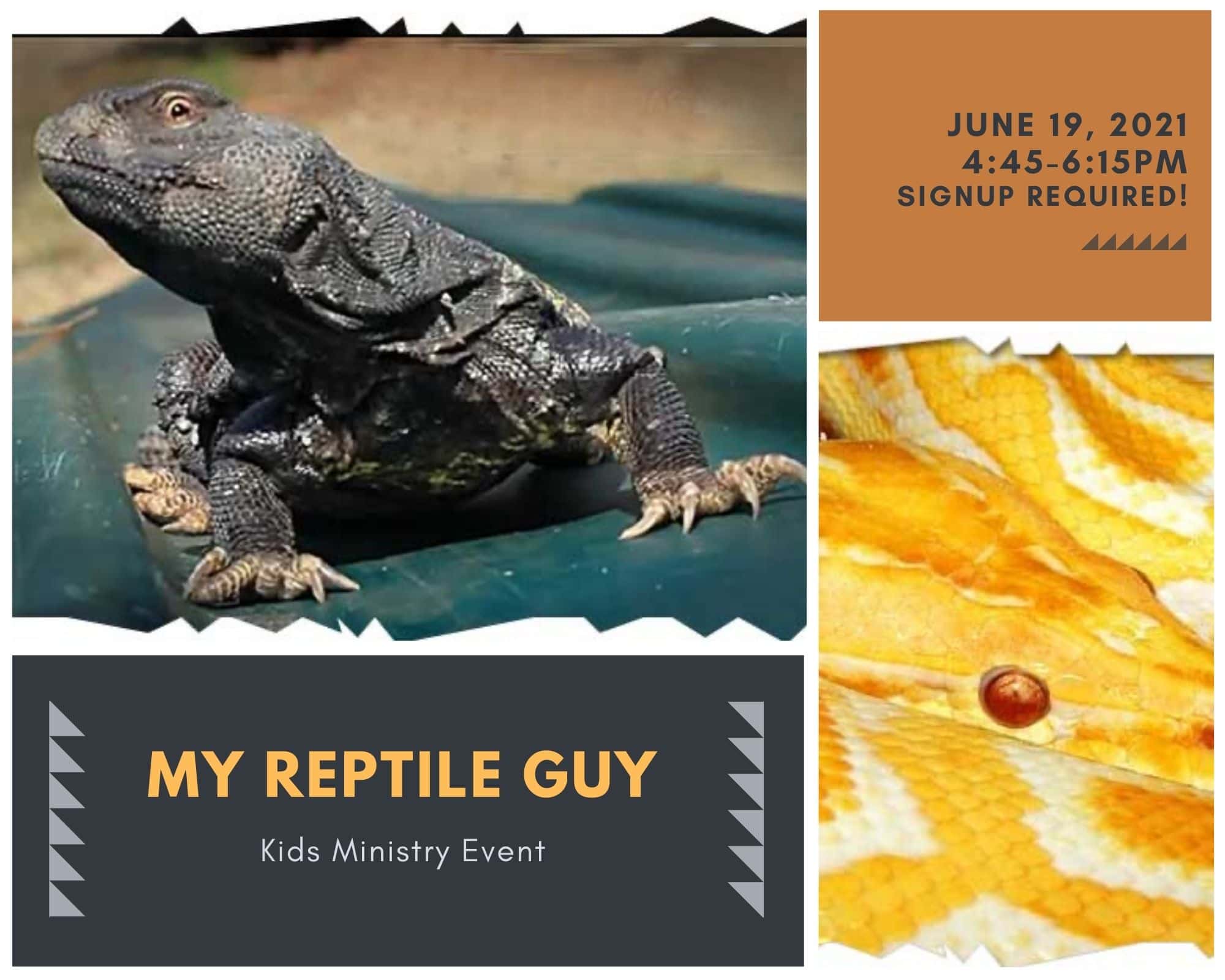 Reptile Show