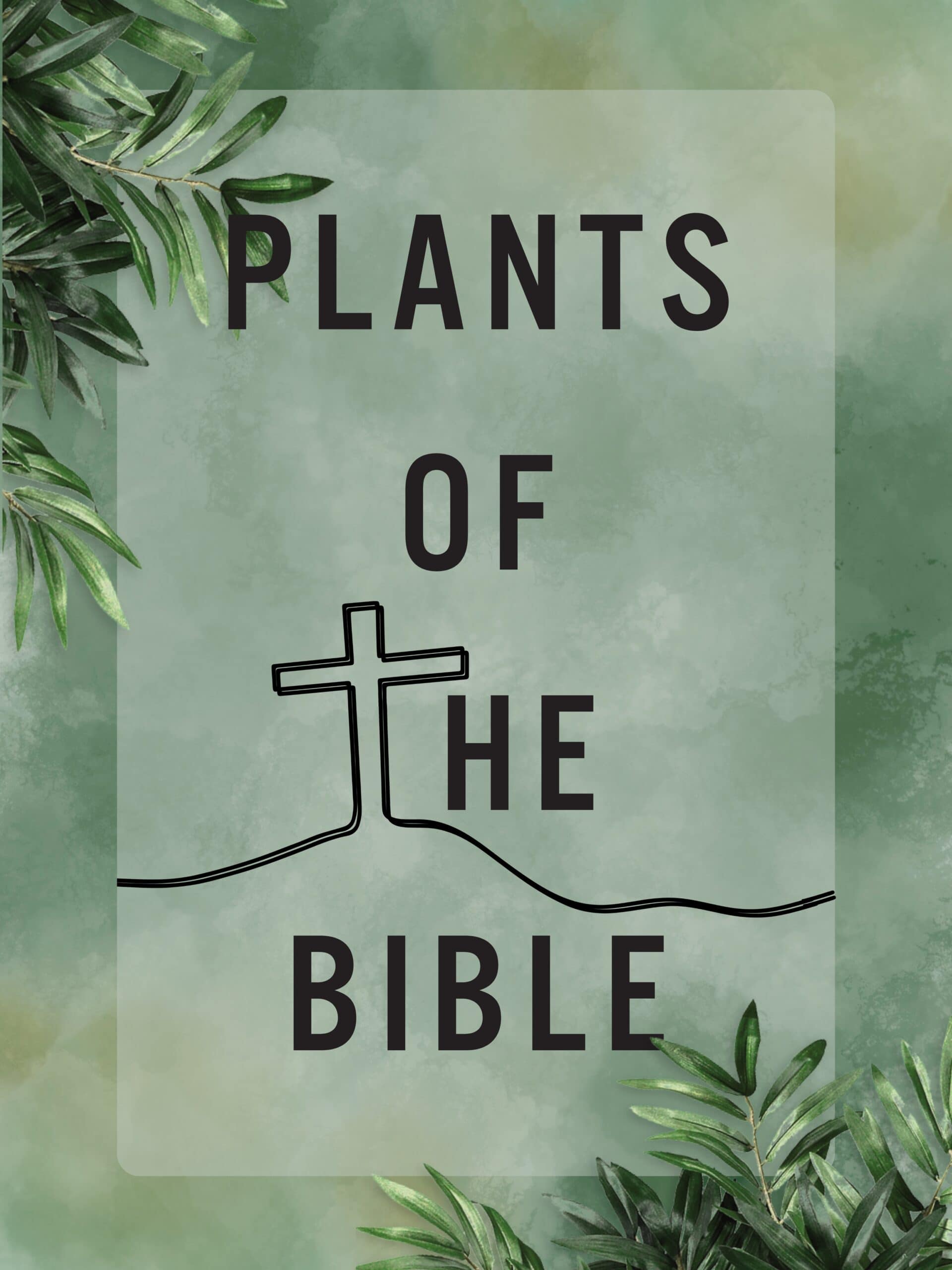 Small Groups Graphics - website (1) copy