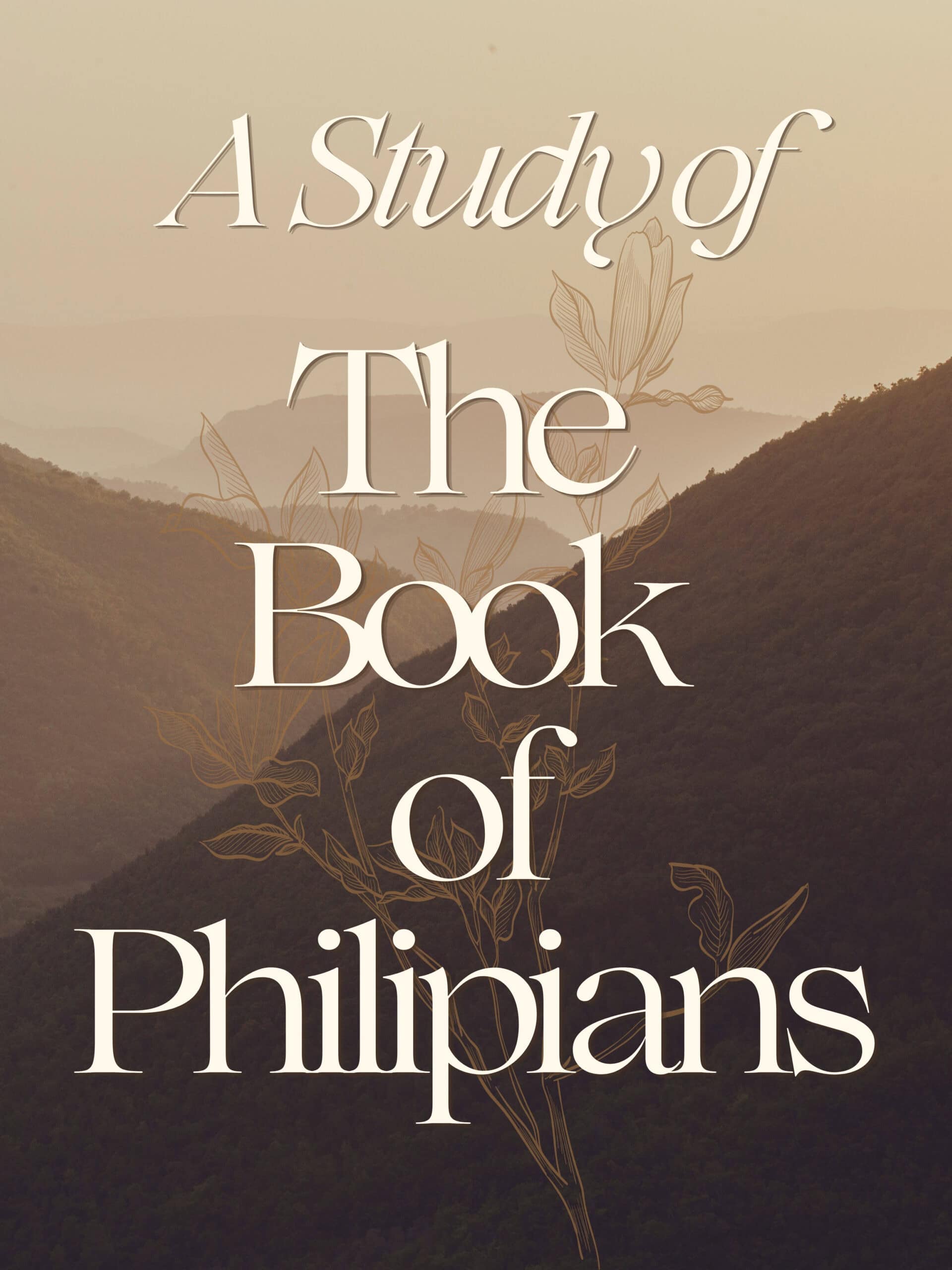 Small Groups Graphics - website (1)